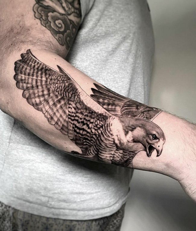 Татуировка птицы - орел