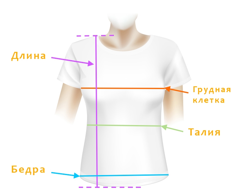 Как узнать свой размер футболки?